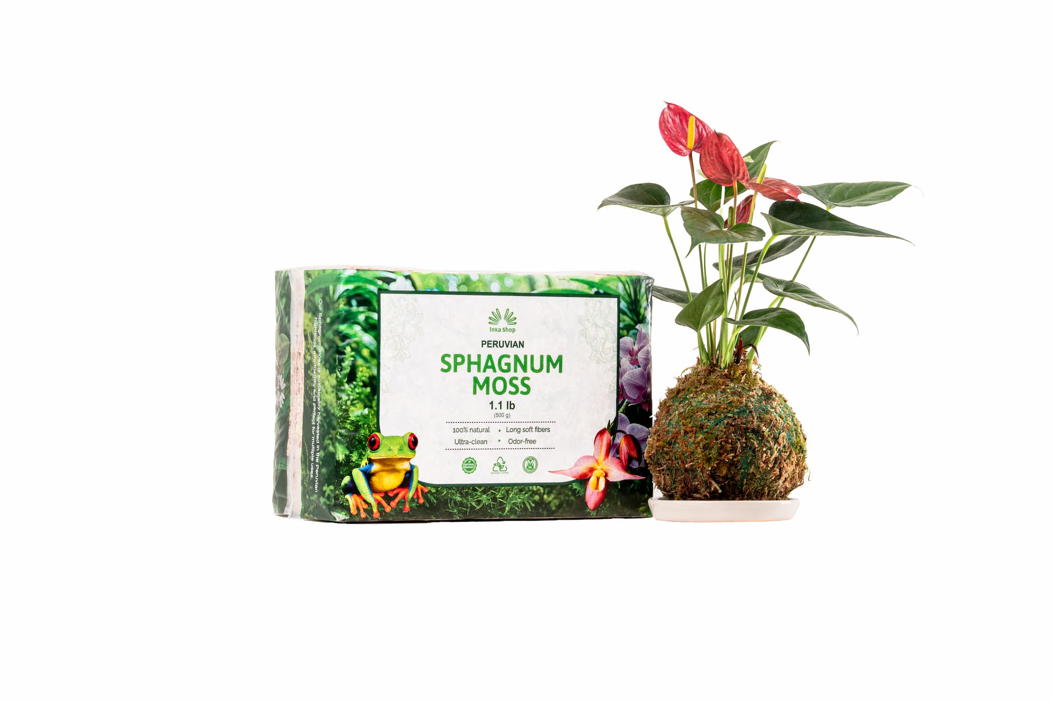 1.1 lb Peruvian Sphagnum Moss